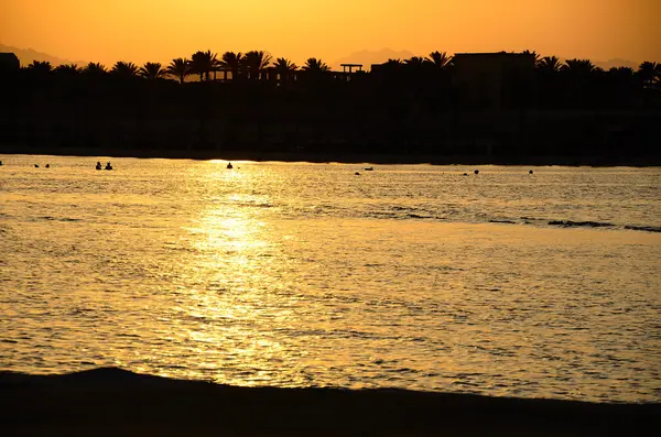 Solnedgång med stranden av de havet och palmer — Stockfoto
