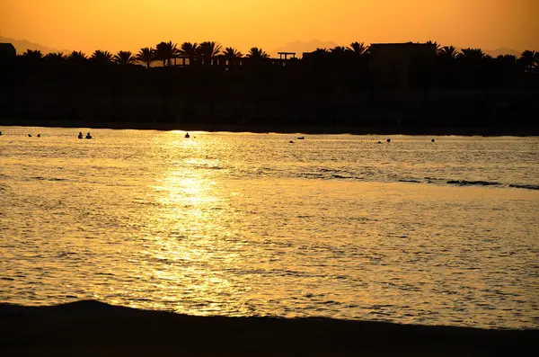 Tramonto con spiaggia in riva al mare e palme — Foto Stock