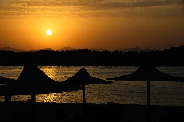 Sunset on the sea with umbrellas — Stock Photo, Image