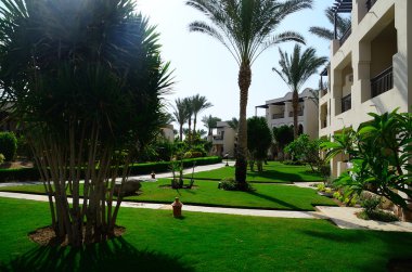 Mısır'daki otel Bahçe