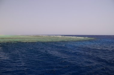 mavi okyanus resif ile