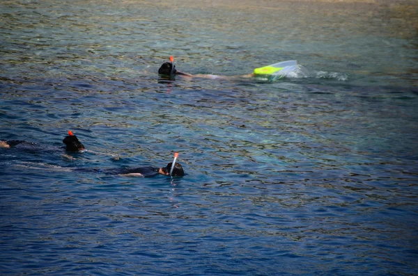 Snorkel en el mar — Foto de Stock