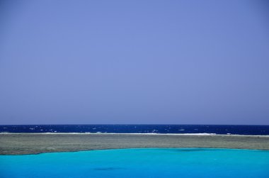 çeşitli renklerde mercan kayalığı
