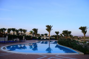 havuzu ve palmiye ağaçları yansıma