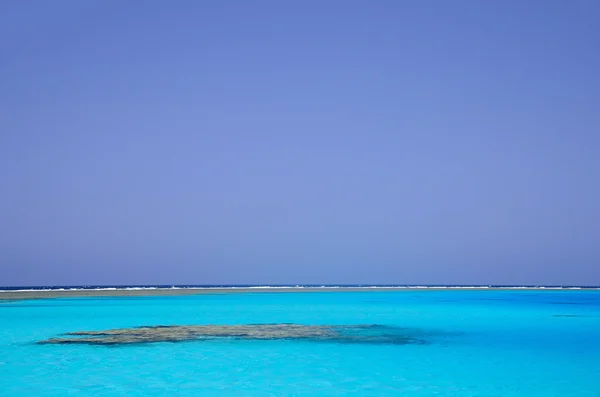 Arrecife de coral en la reserva natural de Egipto — Foto de Stock