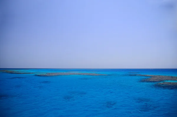 Egipto con coral y mar azul — Foto de Stock