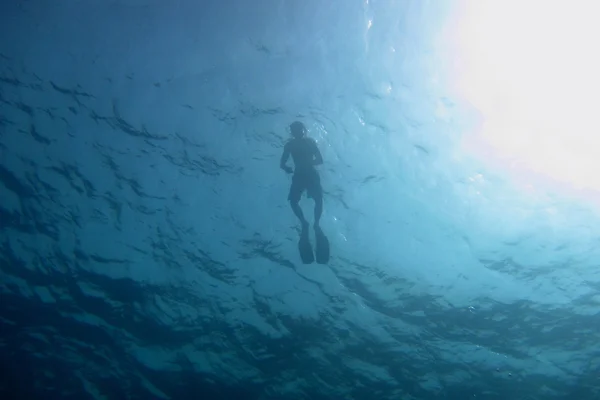 Snorkelers під водою — стокове фото