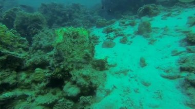 mavi ışın görünüyor ve kaçar