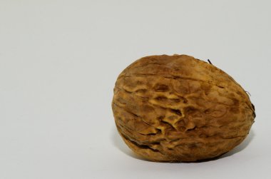 Beyaz arka plan ile ceviz