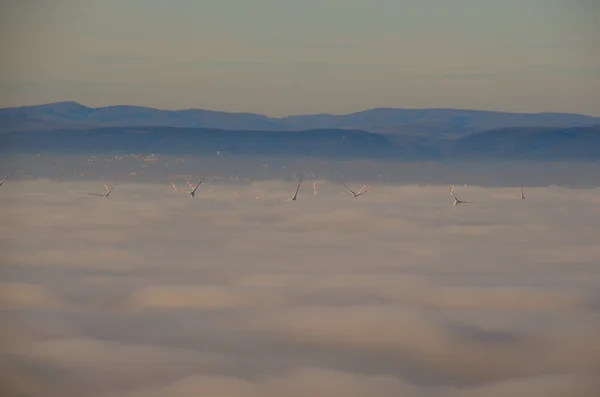 Windturbines in de mist — Stockfoto