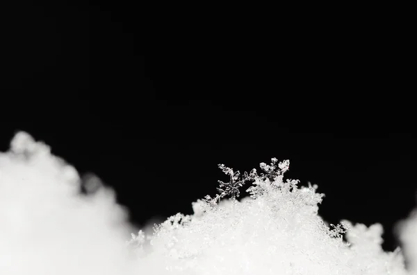Fused snow crystals on black — Stock Photo, Image