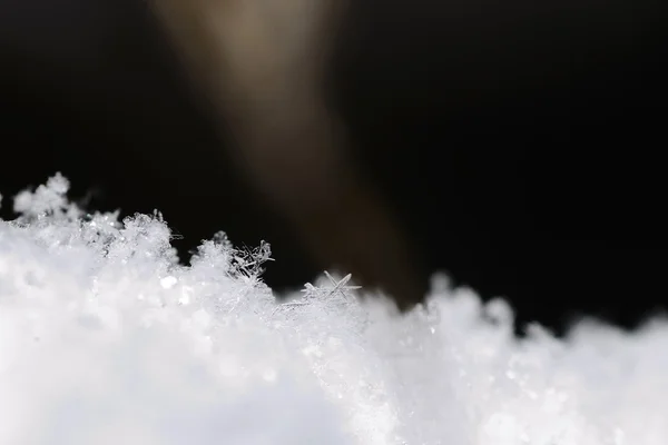 Kışın hassas kar kristalleri — Stok fotoğraf