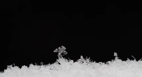 Estruturas delicadas em neve panorama preto — Fotografia de Stock