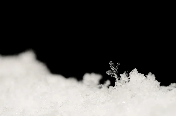 Kristall i snön sticker ut — Stockfoto