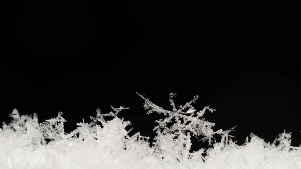 Largo delicados cristales de nieve panorama — Foto de Stock