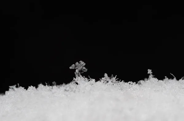 在黑色的雪微妙的结构 — 图库照片