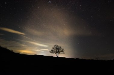 Tek ağaç ve yıldızlı gökyüzünün