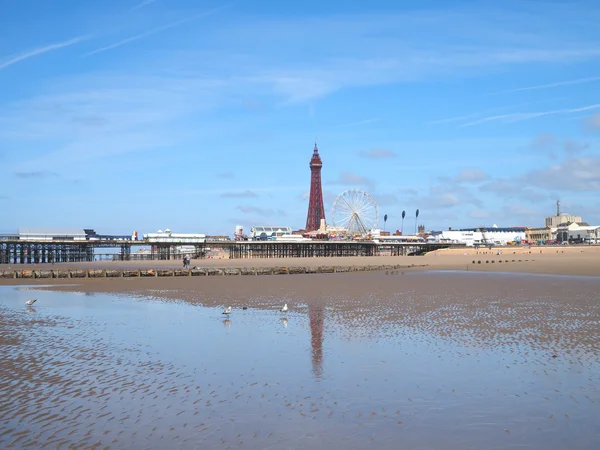 Blackpool tower en strand Rechtenvrije Stockafbeeldingen