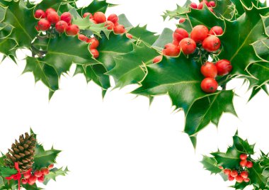 Holly.