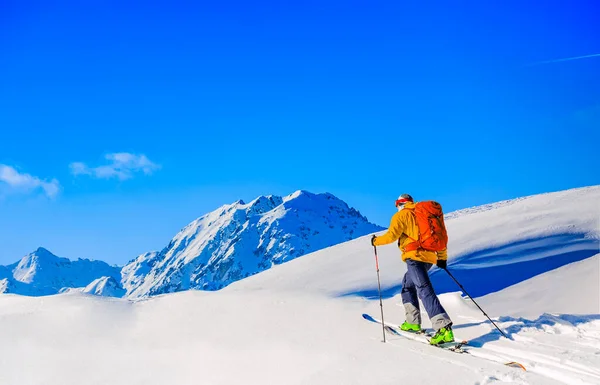 아름다운 겨울의 알프스산맥의 산들을 경탄하며 응시하는 — 스톡 사진