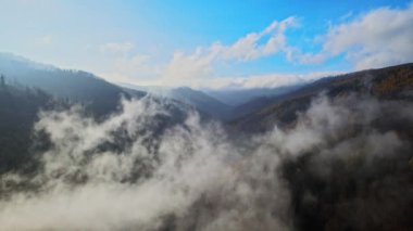 Beskidy Dağları 'ndaki sonbahar manzaralı vadinin hava görüntüleri.