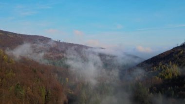 Beskidy Dağları 'ndaki sonbahar manzaralı vadinin hava görüntüleri.