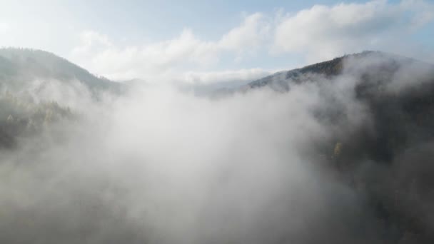 Luftaufnahmen Vom Tal Den Beskiden Bei Herbstlicher Landschaft — Stockvideo