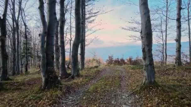 Letecké Záběry Údolí Beskydech Podzimní Scenérii — Stock video