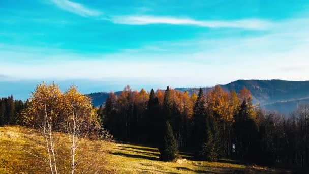 Zdjęcia Lotnicze Doliny Beskidach Jesiennej Scenerii — Wideo stockowe