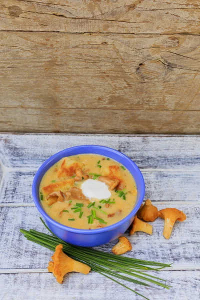 Cream of chanterelle mushroom soup — Stock Photo, Image