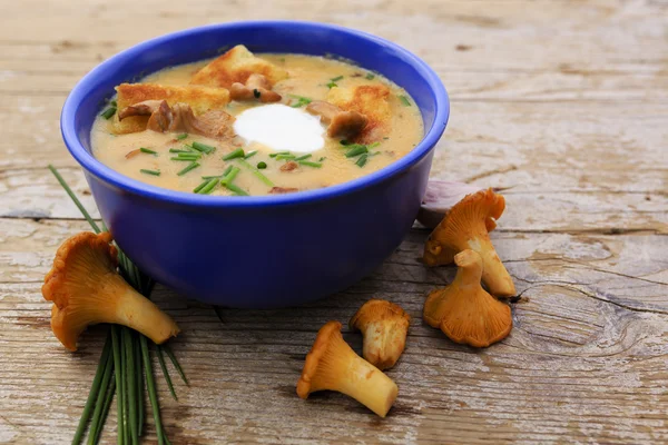 Cream of chanterelle mushroom soup — Stock Photo, Image