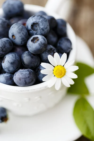 夏季水果-新鲜的蓝莓花园 — 图库照片
