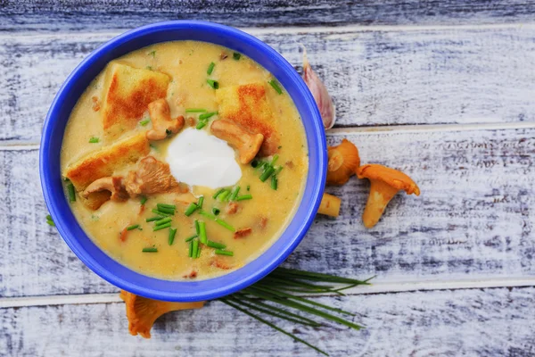 Cream of chanterelle mushroom soup — Stock Image Cream of chanterelle mushroom soup Stock Image