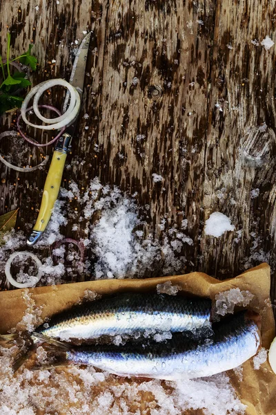 Fresh fish herring fillet — Stock Photo, Image