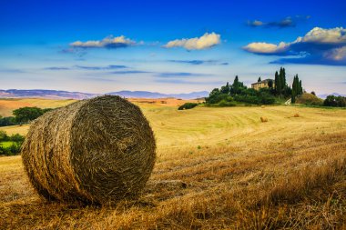 Tuscany manzara tepeler ve çayır, San Quirico di Orcia, Tuscany