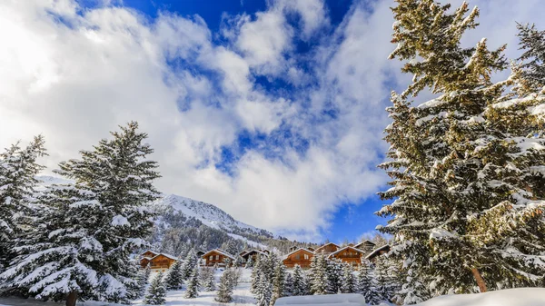 Paysage hivernal, arbres enneigés dans les Alpes suisses — Photo