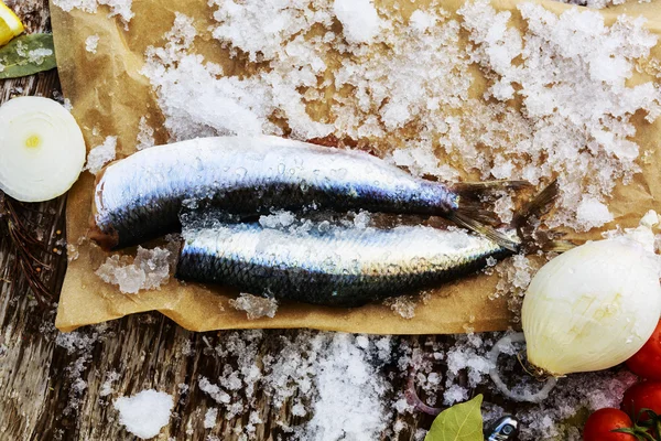 Heringsfilet mit frischem Fisch — Stockfoto