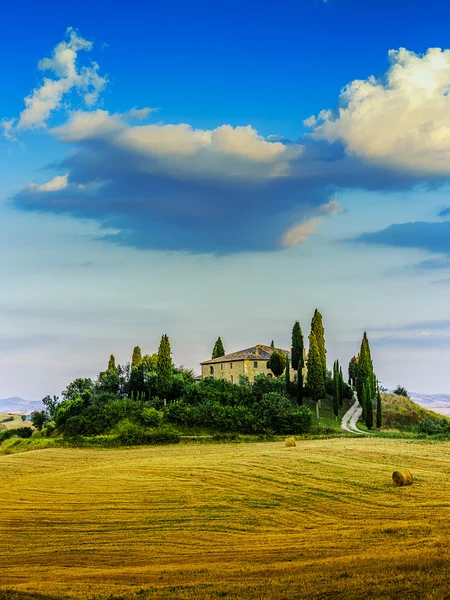 Tuscany táj, San Quirico di Orcia, Olaszország — Stock Fotó