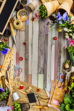 Bahçe aletleri, çiçek ve tohum ahşap zemin çerçeve