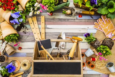Bahçe aletleri, çiçek ve tohum ahşap zemin çerçeve
