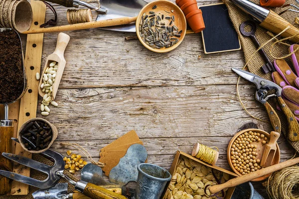 Garden tools and seeds on a wooden background, frame — Stock Photo, Image