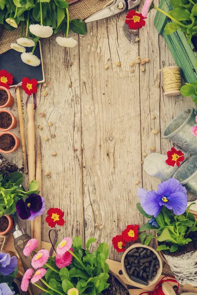 Garden tools, flowers and seeds on a wooden background, frame — Stock Photo, Image