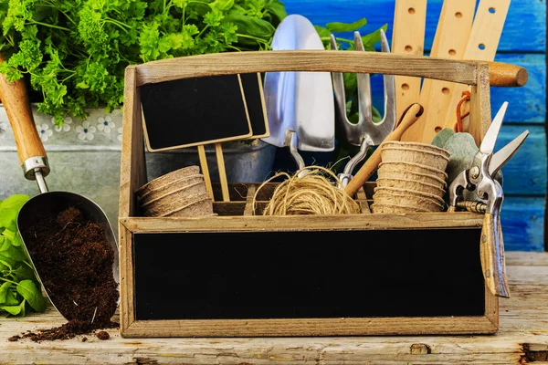 Herbs and garden tools — Stock Photo, Image