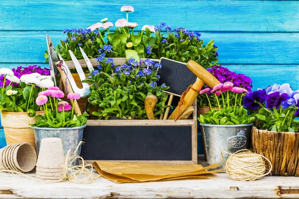 Tuingereedschap en bloemen op een houten achtergrond — Stockfoto