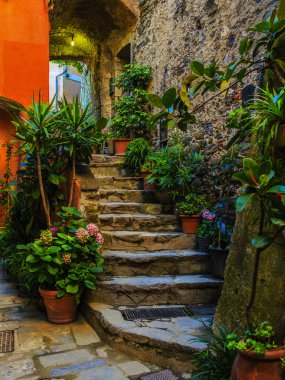 Cinque Terre, Vernazza - İtalya