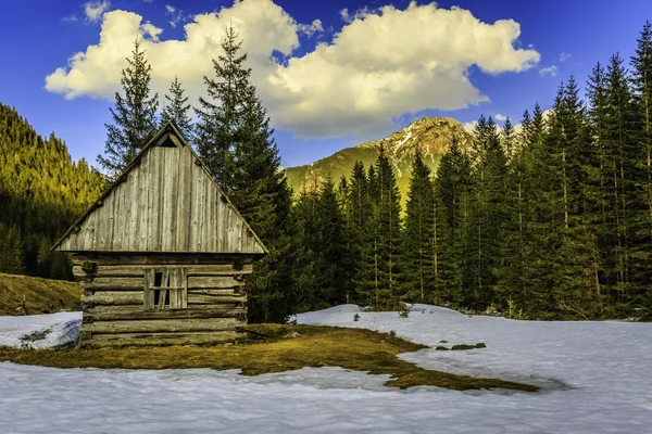 Tatra hory, Polsko — Stock fotografie