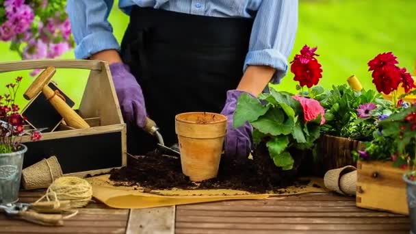 Работа в саду, посадка горшков — стоковое видео