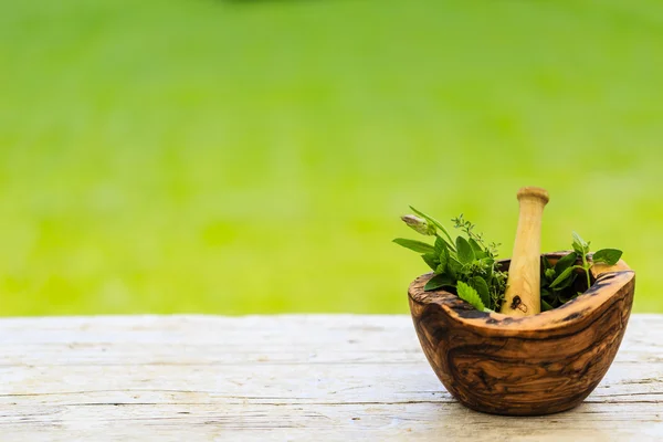 Fresh herbs in a mortar — Stock Photo, Image