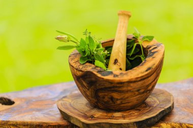 Otlar - bir harç içinde taze otlar