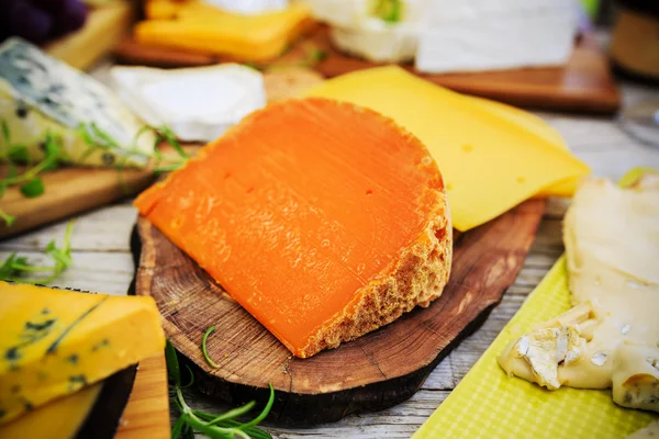 Different types of cheese — Stock Photo, Image